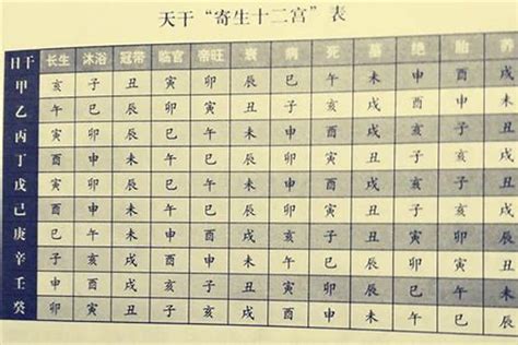 八掛命盤|八字排盘,四柱八字排盘算命,免费排八字,在线排盘系统